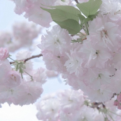 泗水FurryQQ群介绍